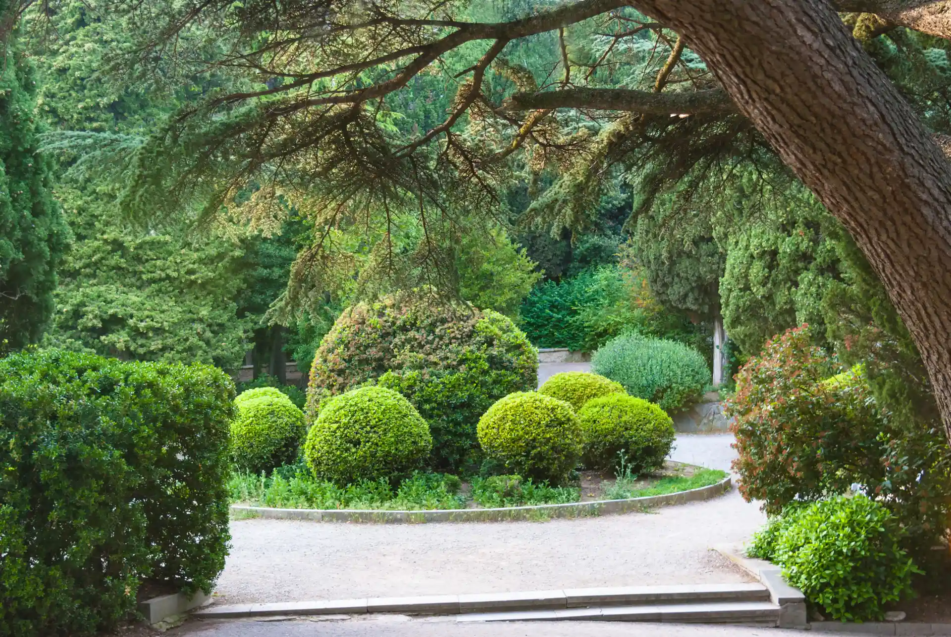 The origins of Velasquez Landscaping in a New York garden