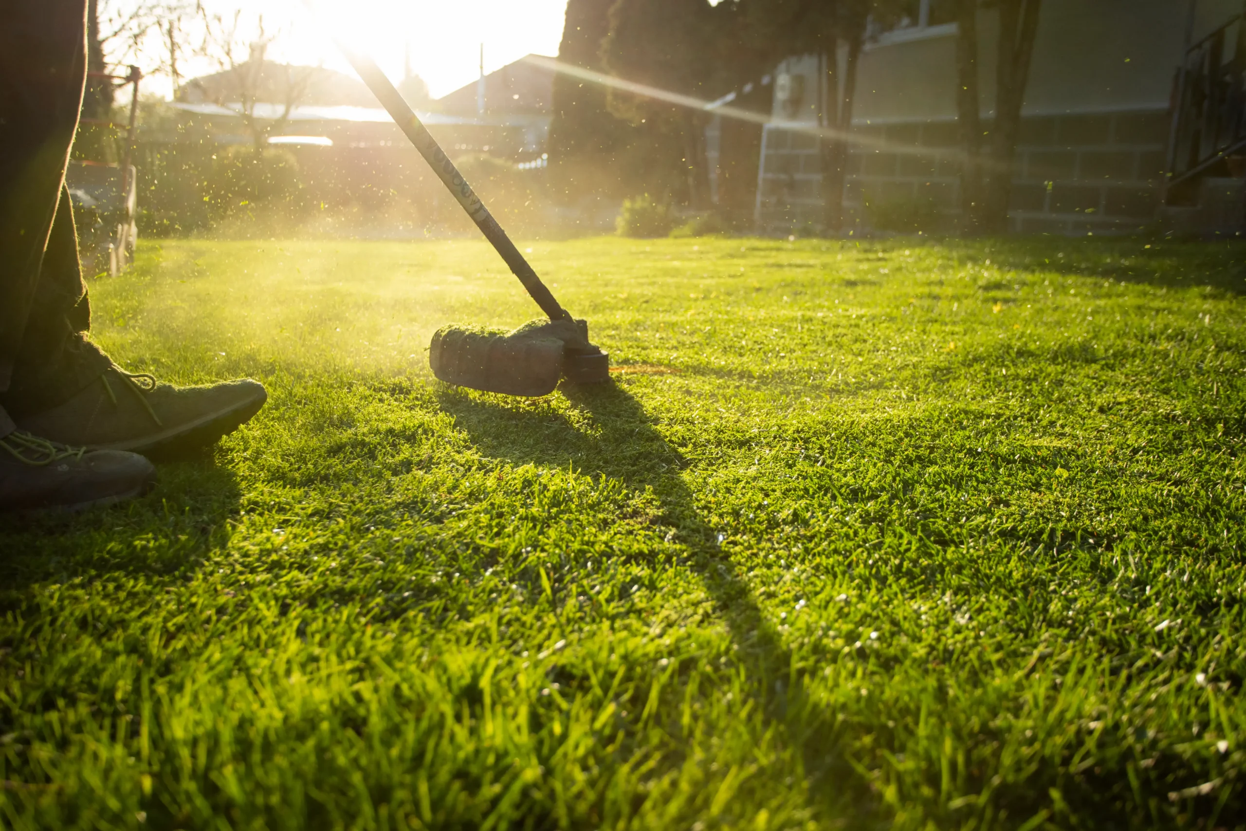 Lawn care in New York