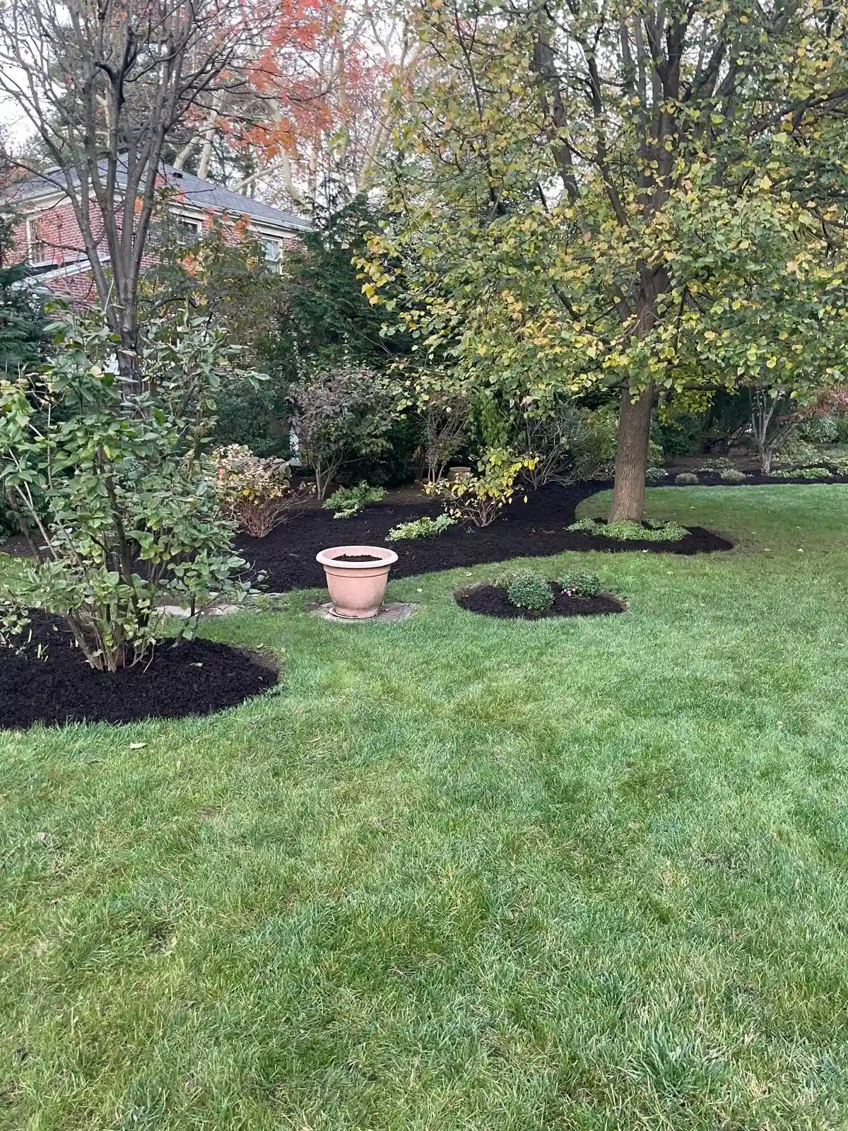 Garden project in Rye, NY