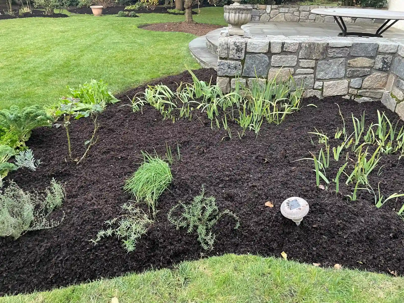 Tree planting service in New York