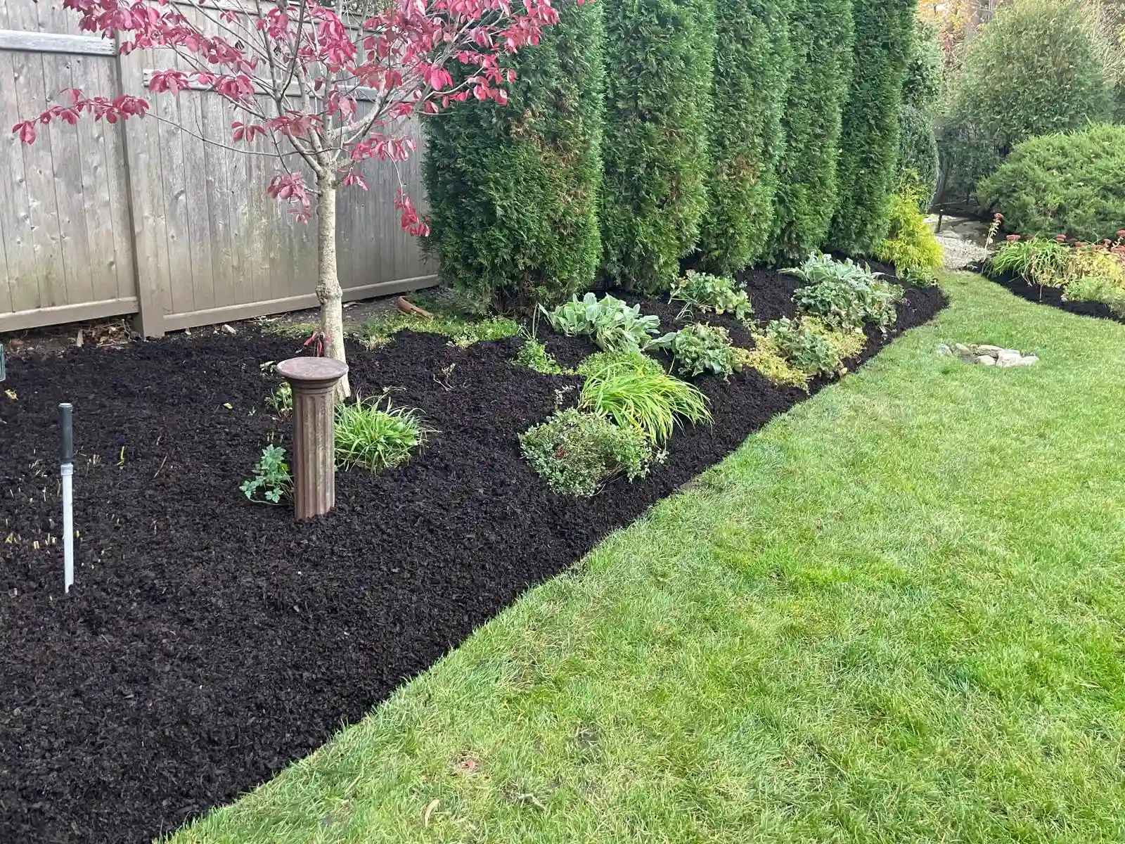 Planting project in a New York property
