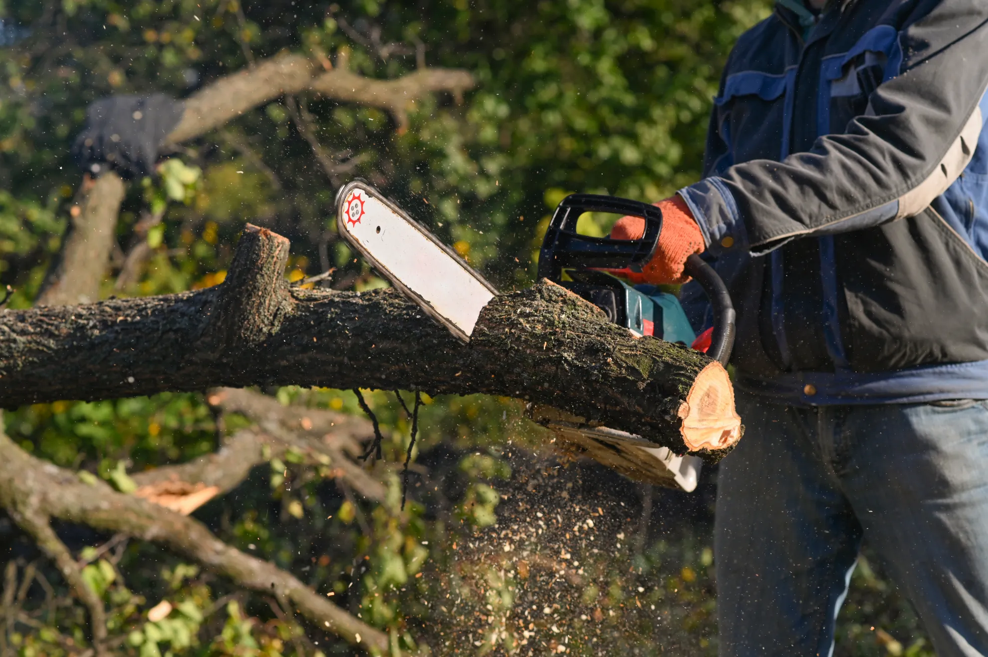 Outdoor tree services in Armonk, NY